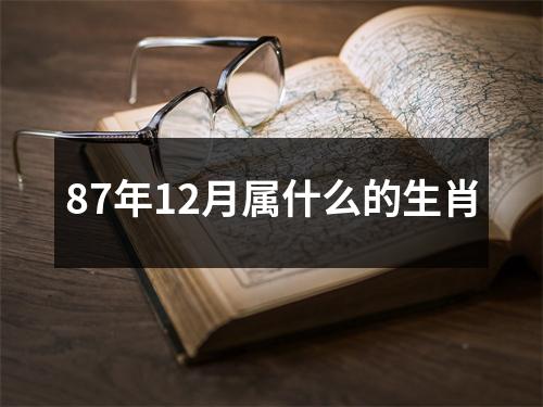 87年12月属什么的生肖