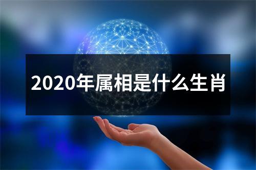 2020年属相是什么生肖