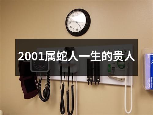 2001属蛇人一生的贵人