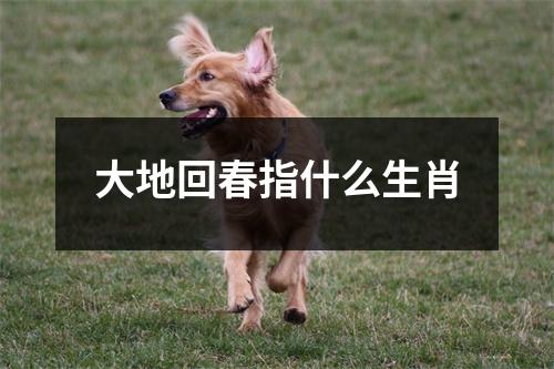 大地回春指什么生肖