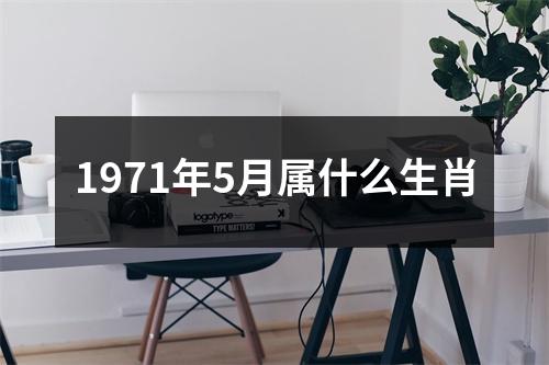 1971年5月属什么生肖