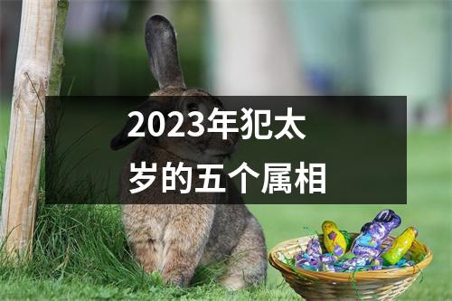 2023年犯太岁的五个属相