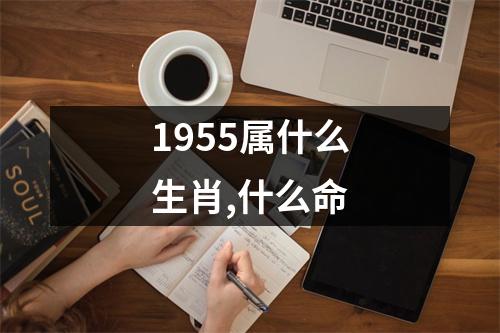 1955属什么生肖,什么命