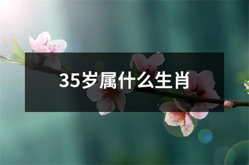 35岁属什么生肖