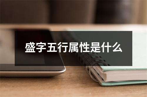 盛字五行属性是什么