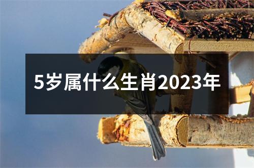 5岁属什么生肖2023年