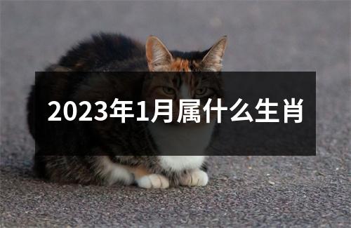 2023年1月属什么生肖