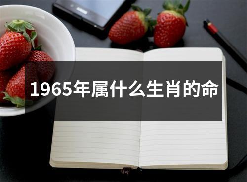 1965年属什么生肖的命