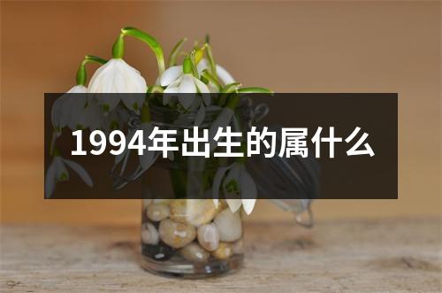 1994年出生的属什么