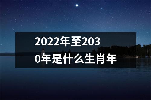 2022年至2030年是什么生肖年