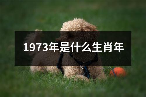 1973年是什么生肖年