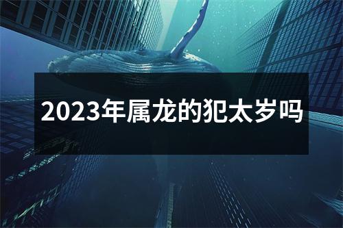 2023年属龙的犯太岁吗