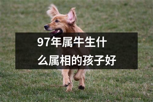 97年属牛生什么属相的孩子好