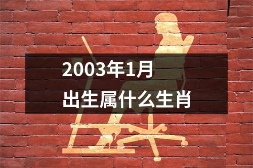 2003年1月出生属什么生肖