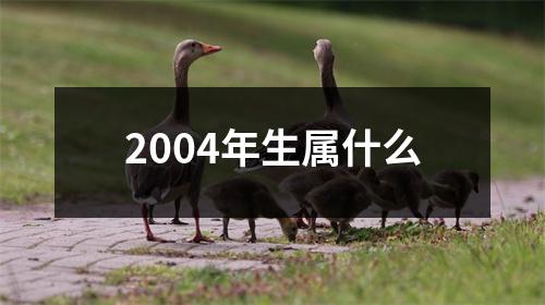 2004年生属什么