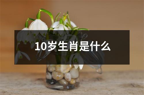 10岁生肖是什么