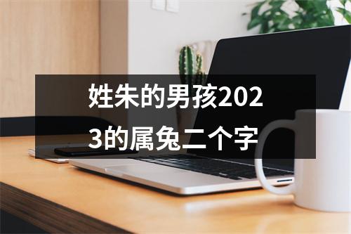 姓朱的男孩2023的属兔二个字