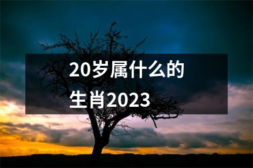 20岁属什么的生肖2023