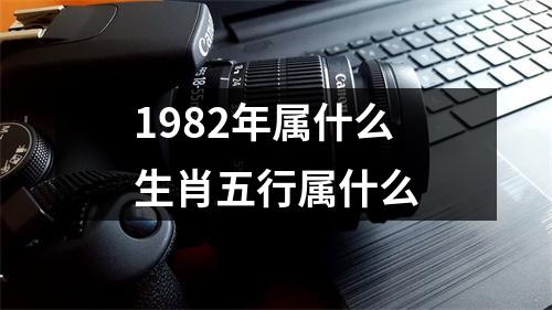 1982年属什么生肖五行属什么