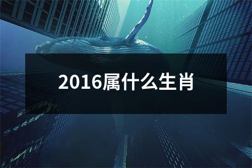 2016属什么生肖