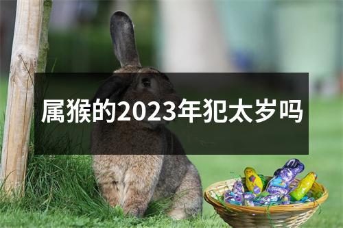 属猴的2023年犯太岁吗