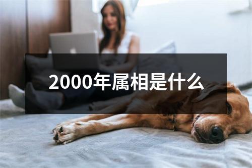 2000年属相是什么