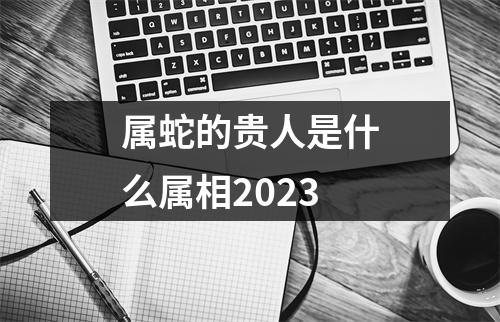 属蛇的贵人是什么属相2023