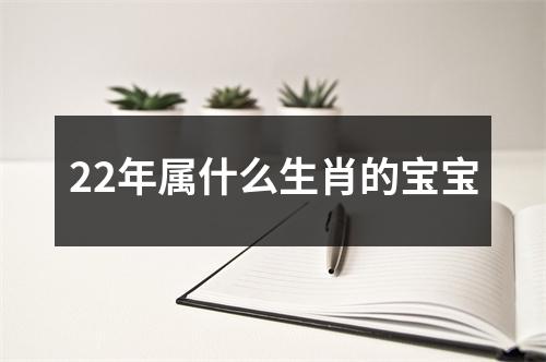 22年属什么生肖的宝宝