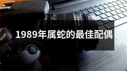 1989年属蛇的最佳配偶