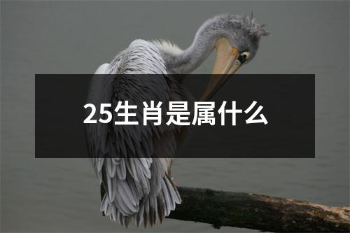 25生肖是属什么