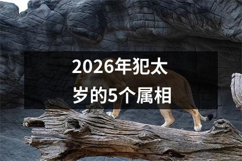 2026年犯太岁的5个属相