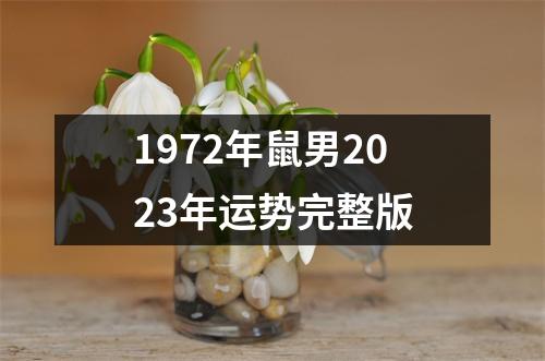 1972年鼠男2023年运势完整版