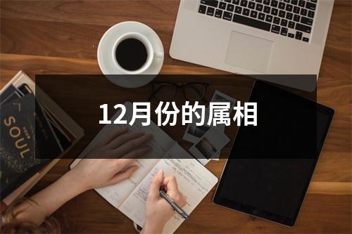 12月份的属相