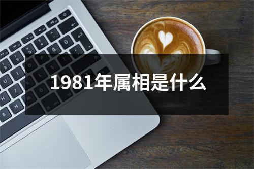 1981年属相是什么