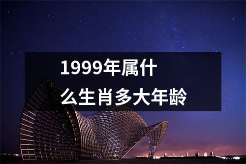 1999年属什么生肖多大年龄