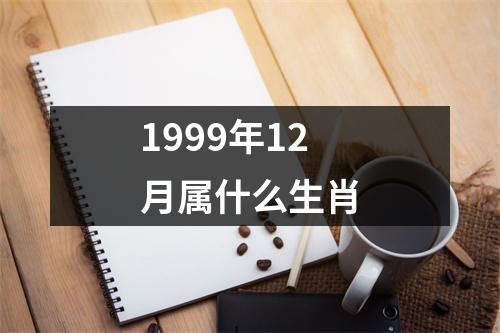 1999年12月属什么生肖