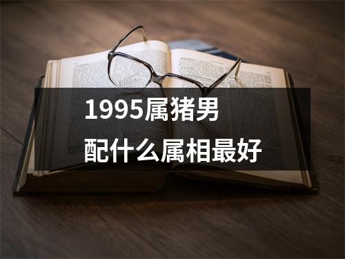 1995属猪男配什么属相最好