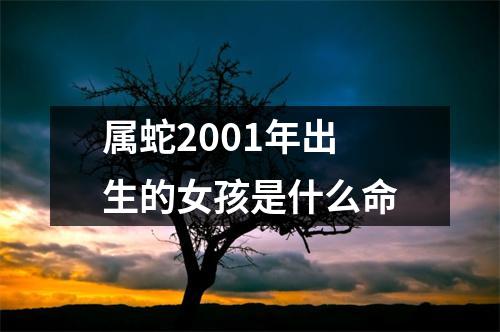 属蛇2001年出生的女孩是什么命