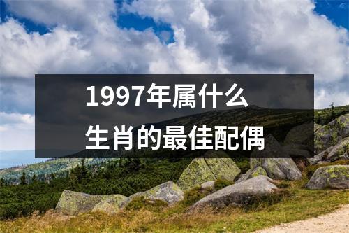 1997年属什么生肖的最佳配偶