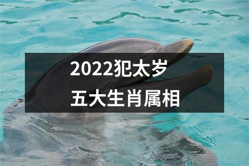 2022犯太岁五大生肖属相