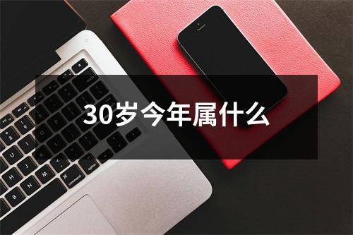 30岁今年属什么