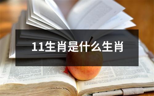 11生肖是什么生肖