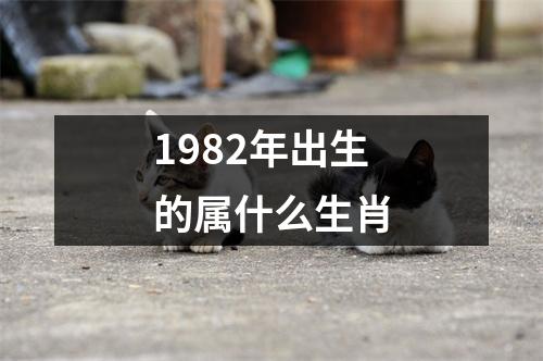 1982年出生的属什么生肖