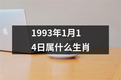 1993年1月14日属什么生肖