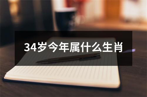 34岁今年属什么生肖