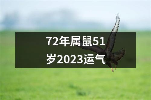 72年属鼠51岁2023运气