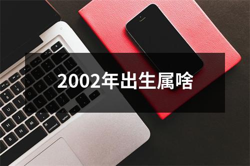 2002年出生属啥