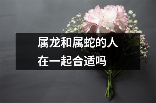 属龙和属蛇的人在一起合适吗