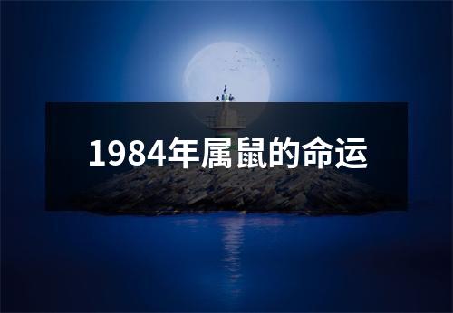 1984年属鼠的命运