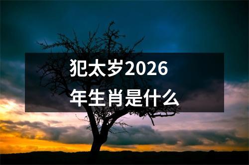 犯太岁2026年生肖是什么